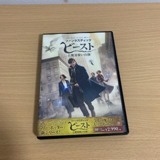 ユニバーサルスタジオジャパン(USJ)のファンタスティック・ビーストと魔法使いの旅 DVD(外国映画)