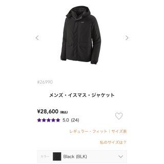 パタゴニア(patagonia)のpatagonia イスマス・ジャケット　(マウンテンパーカー)