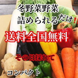 激安❗️おまかせ農家直送野菜コンパクト入る分だけ詰めます送料無料(野菜)