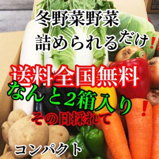 なんと2箱入り❗️農家直送野菜コンパクト入る分だけ詰めます送料無料(野菜)