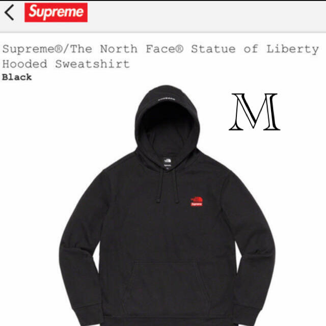 Supreme The North Face Hooded Sweatshirt