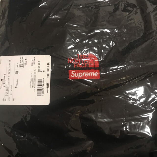 Supreme The North Face Hooded Sweatshirt