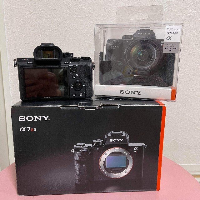 シーリングライト ソニー α6000 タブルズーム ショット数2351回 極美品