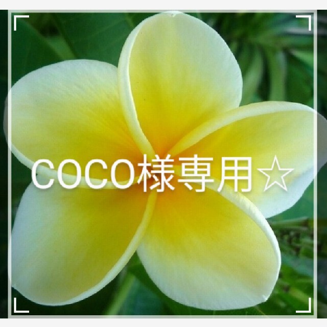 coco様専用