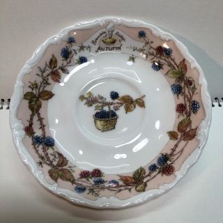 ロイヤルドルトン(Royal Doulton)のロイヤルドルトン　ブランベリーヘッジ（秋）カップ＆ソーサー　doulton-25(グラス/カップ)