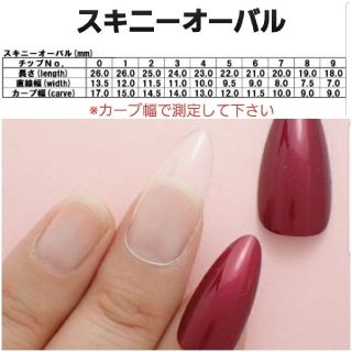 パイソン柄ネイルチップ No.6
