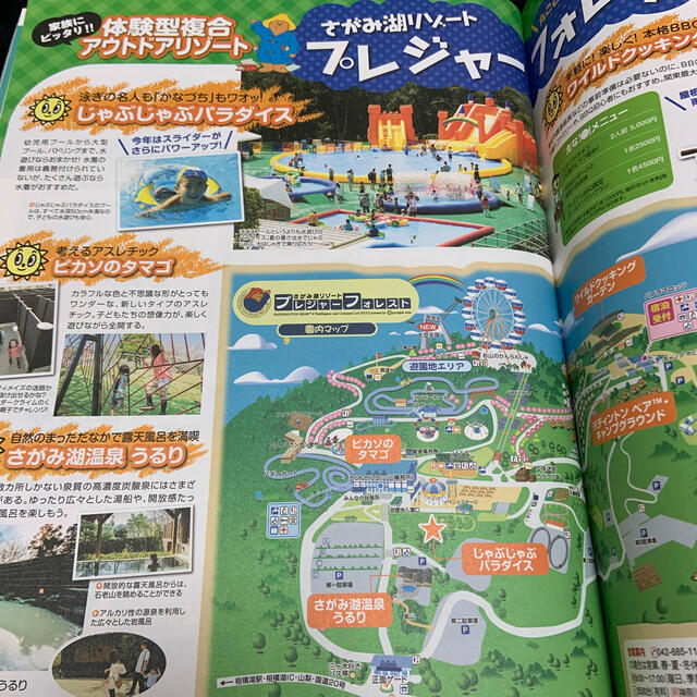 家族でおでかけ夏休み 関東・首都圏発 エンタメ/ホビーの本(地図/旅行ガイド)の商品写真