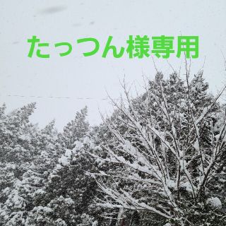 トイ・ストーリー　25th～Anniversary～一番くじ　バズライトイヤー(キャラクターグッズ)