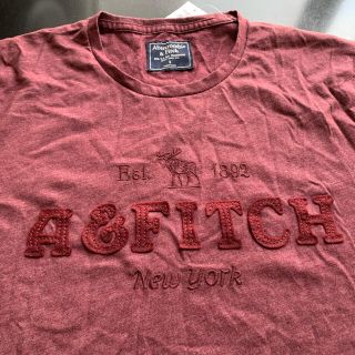 アバクロンビーアンドフィッチ(Abercrombie&Fitch)のアバクロ　tシャツ　新品(Tシャツ/カットソー(半袖/袖なし))