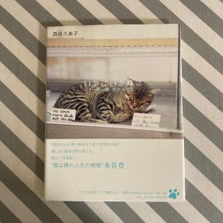 シュウエイシャ(集英社)の一期一猫 街角の記憶(趣味/スポーツ/実用)