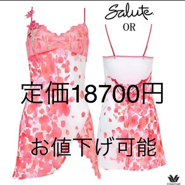 タイムセール 本日削除❤️お値下げ可能 定価26400円 ワコール サルート-