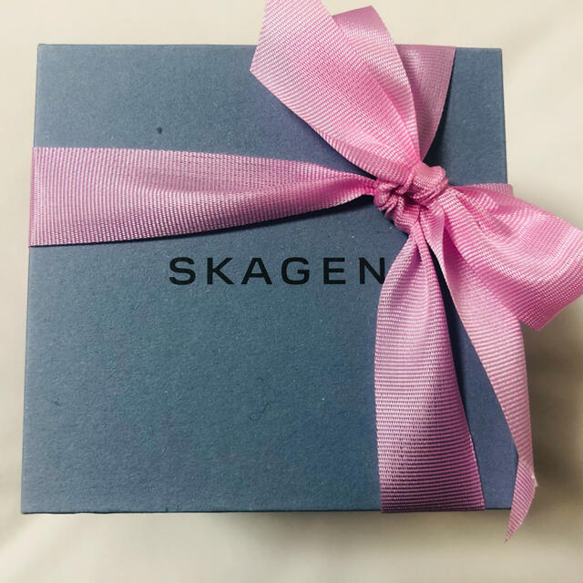 SKAGEN(スカーゲン)のSKAGEN レディース時計 レディースのファッション小物(腕時計)の商品写真