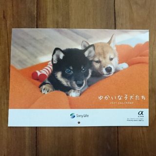 ソニー(SONY)の2021カレンダー ゆかいな子犬たち(カレンダー/スケジュール)