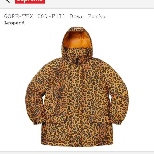 Supreme(シュプリーム)のgore-tex 700fill down parka 2020AW Lサイズ メンズのジャケット/アウター(ダウンジャケット)の商品写真