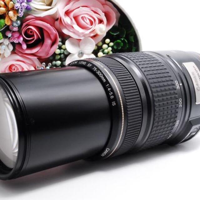 手ぶれ補正機能!】Canon EF 75-300mm IS 手ぶれ補正機能!】Canon EF 75-300mm IS