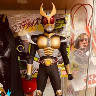 メディコムトイ(MEDICOM TOY)のリアルアクションヒーローズ　仮面ライダーアギト(特撮)