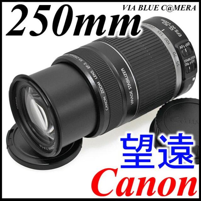 手ブレ補正☆250mm 望遠レンズ☆EF-S 55-250mm IS☆EOS - レンズ(ズーム)