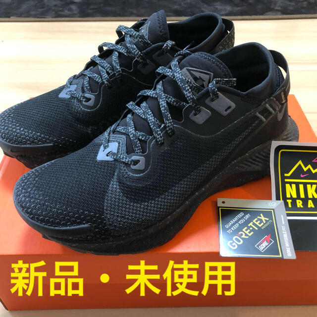 ナイキ ペガサス トレイル 2 GORE-TEX ランニングシューズ25.5cm255cm購入時期