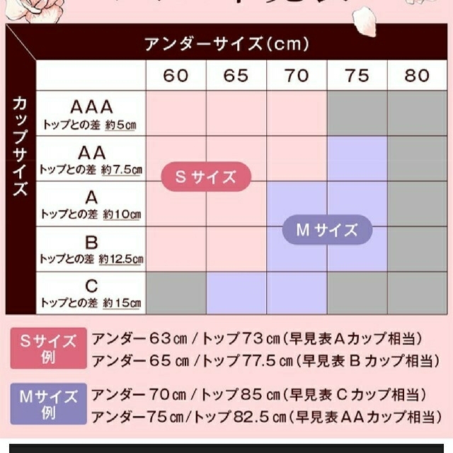 ルーナ ナチュラルアップナイトブラ レディースの下着/アンダーウェア(ブラ)の商品写真