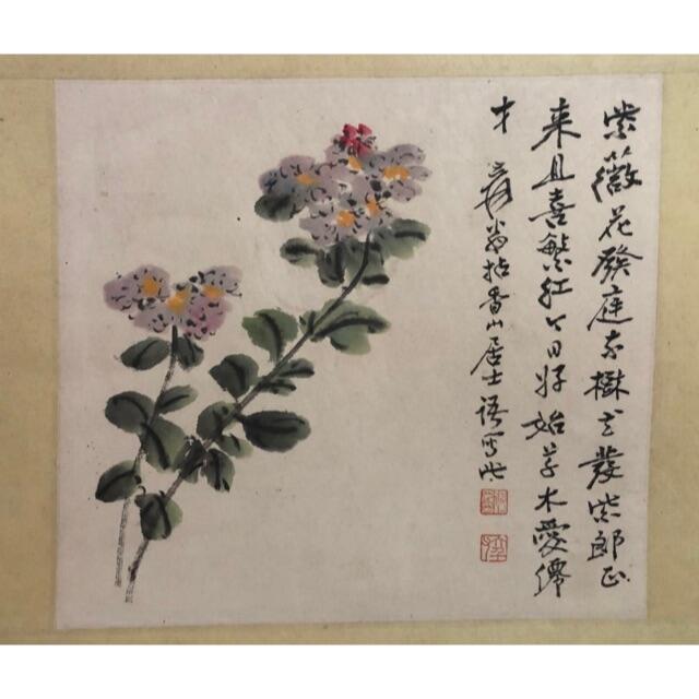 大千 花卉