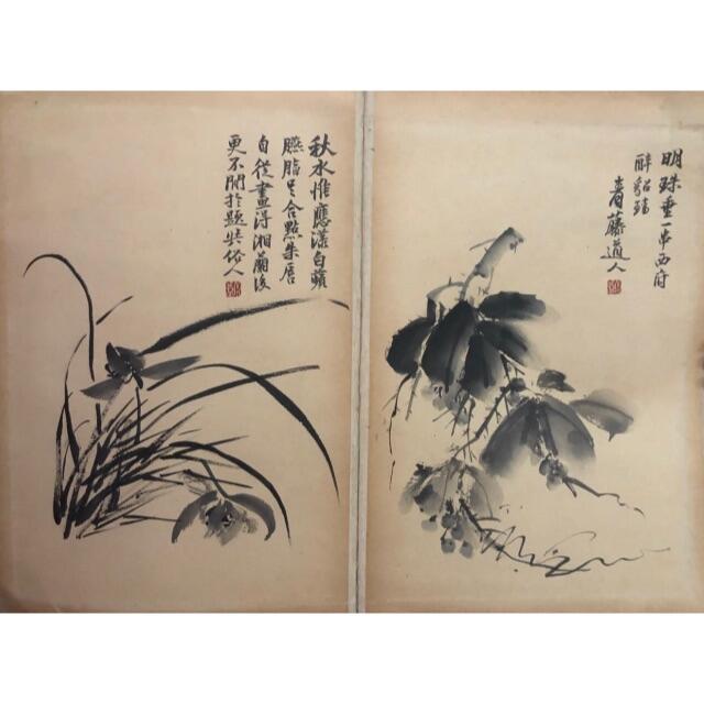 花草 青藤道人