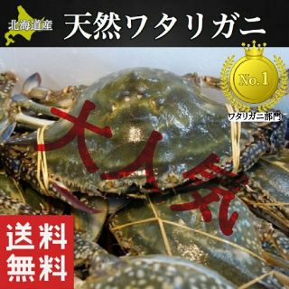 函館噴火湾ワタリガニ×10【メス】(魚介)