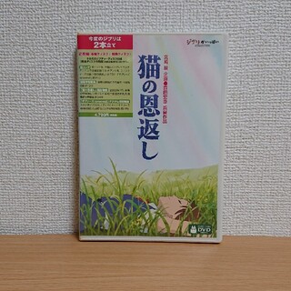 ジブリ(ジブリ)の猫の恩返し／ギブリーズ　episode　2 DVD(舞台/ミュージカル)