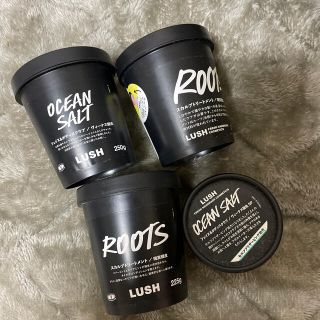 ラッシュ(LUSH)のLUSH 空き容器(その他)