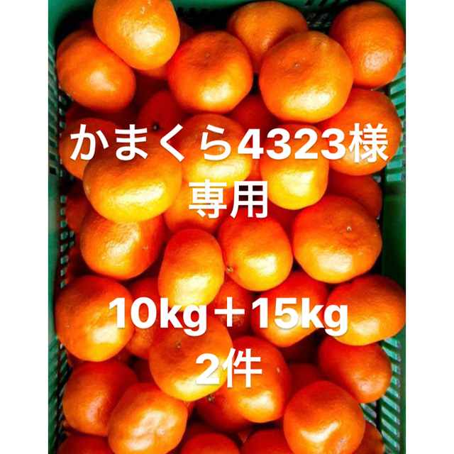 食品愛媛県　南柑20号　みかん　大玉　15kg＋10kg