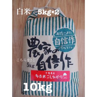 新米　多古米　コシヒカリ　白米　10kg(米/穀物)
