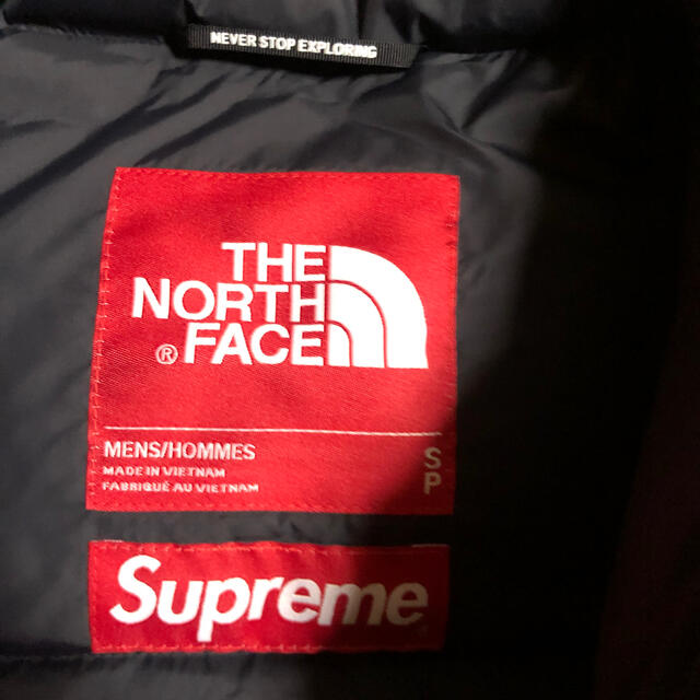 Supreme The North Face Faux Fur Nuptse