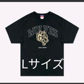 チャンピオン(Champion)のDarc Sport HOME TEAM CHAMPION TEE(Tシャツ/カットソー(半袖/袖なし))