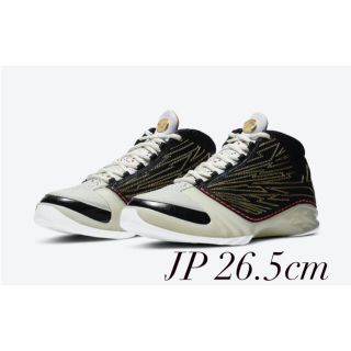 ナイキ(NIKE)のTITAN / NIKE AIR JORDAN 23 RETRO SP(スニーカー)