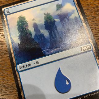 マジックザギャザリング(マジック：ザ・ギャザリング)のMTG基本土地④(シングルカード)