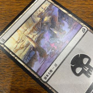 マジックザギャザリング(マジック：ザ・ギャザリング)のMTG基本土地⑥(シングルカード)