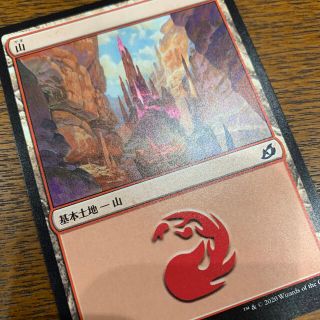 マジックザギャザリング(マジック：ザ・ギャザリング)のMTG基本土地⑩(シングルカード)