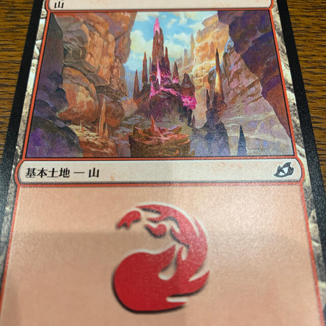 マジック：ザ・ギャザリング(マジックザギャザリング)のMTG基本土地(11) エンタメ/ホビーのトレーディングカード(シングルカード)の商品写真