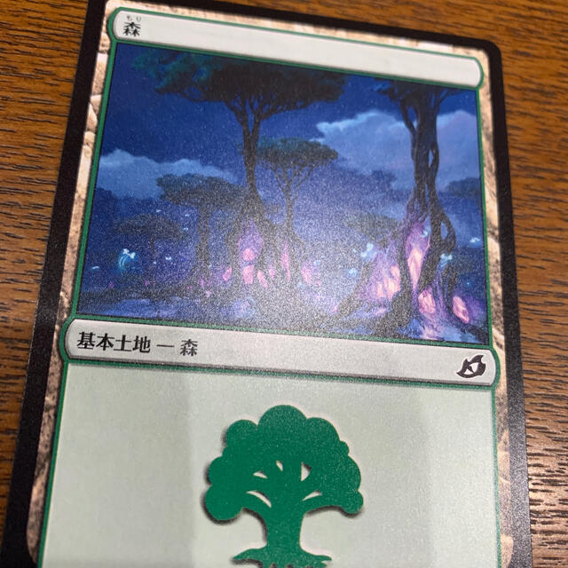 マジック：ザ・ギャザリング(マジックザギャザリング)のMTG基本土地(13) エンタメ/ホビーのトレーディングカード(シングルカード)の商品写真