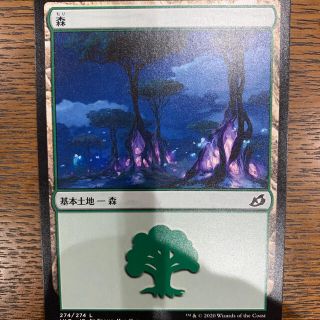 マジックザギャザリング(マジック：ザ・ギャザリング)のMTG基本土地(15)(シングルカード)