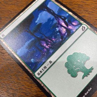 マジックザギャザリング(マジック：ザ・ギャザリング)のMTG基本土地(16)(シングルカード)