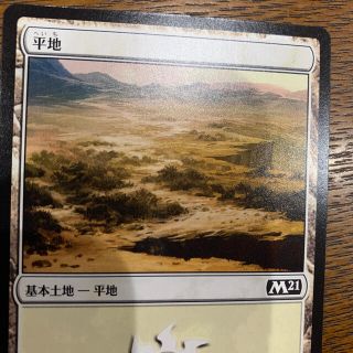 マジックザギャザリング(マジック：ザ・ギャザリング)のMTG基本土地(18)(シングルカード)