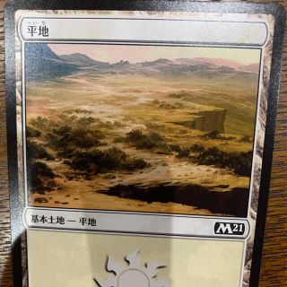 マジックザギャザリング(マジック：ザ・ギャザリング)のMTG基本土地(19)(シングルカード)