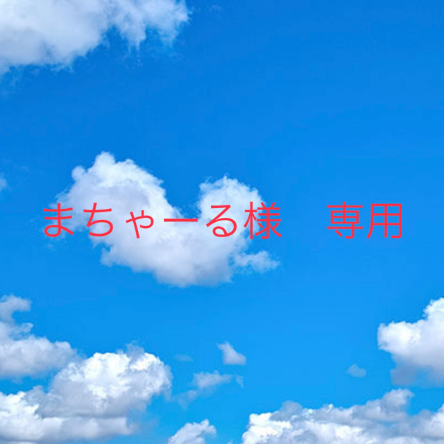 まちゃーる様 専用 公式の店舗 4200円引き ポルコ様専用です ‼️