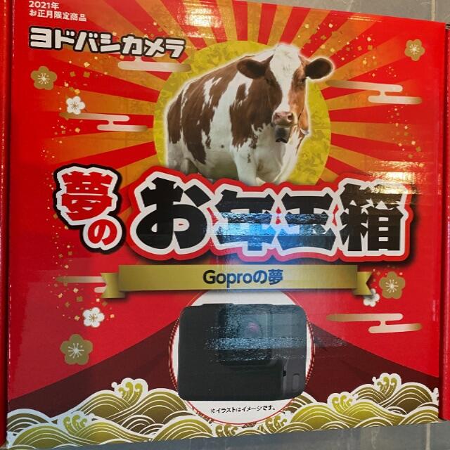 ヨドバシカメラ　お年玉箱　2021 GoPro