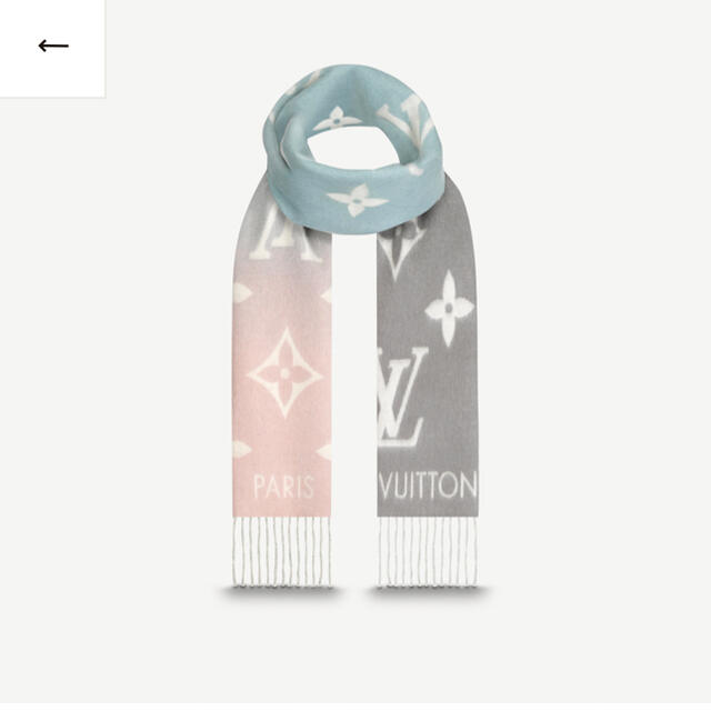 上品な LOUIS VUITTON - 新品未使用 LOUIS VUITTON ルイヴィトン