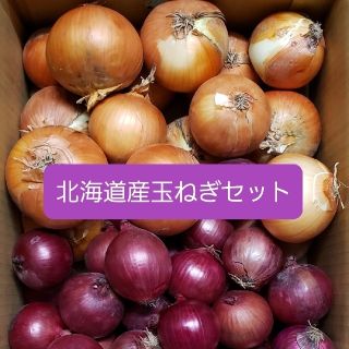 北海道産赤玉ねぎ【アーリーレッド】＋玉ねぎセット各５キロ　約１０キロ訳あり品(野菜)