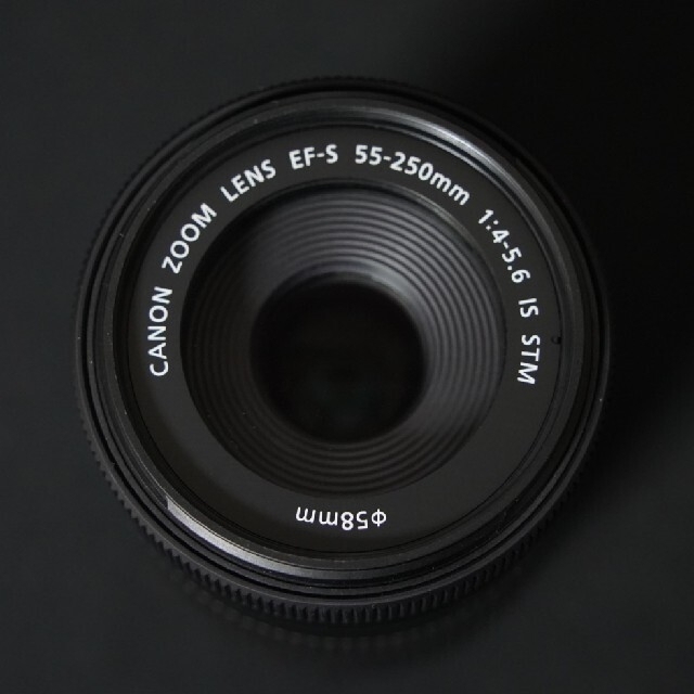 Canon STMフードプロテクター付の通販 by おもち's shop 送料無料 おまとめ値引きします！
｜キヤノンならラクマ - Canon EF-S55-250F4-5.6 IS 最新品人気