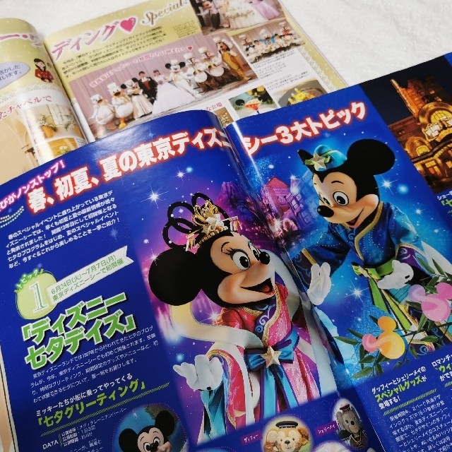 Disney(ディズニー)のDisney FAN (ディズニーファン) 2冊セット エンタメ/ホビーのおもちゃ/ぬいぐるみ(キャラクターグッズ)の商品写真