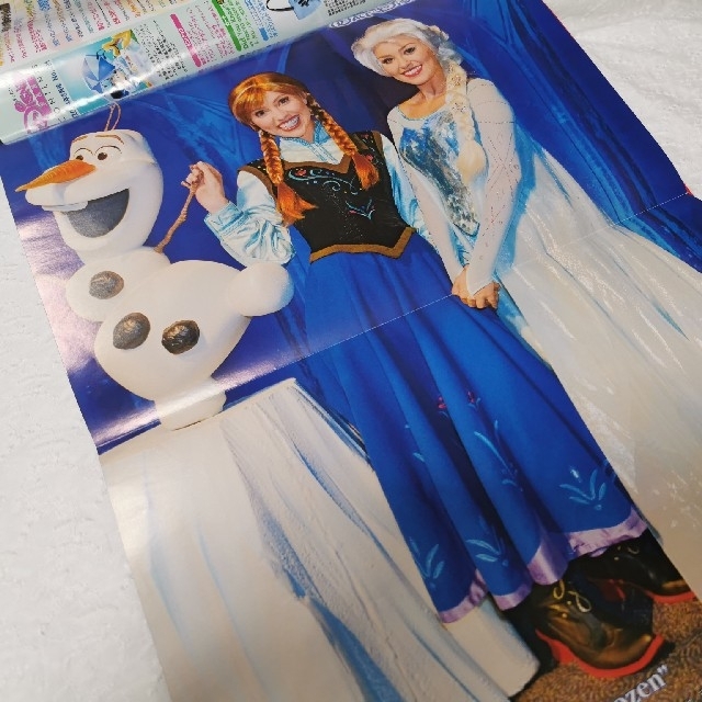 Disney(ディズニー)のDisney FAN (ディズニーファン) 2冊セット エンタメ/ホビーのおもちゃ/ぬいぐるみ(キャラクターグッズ)の商品写真