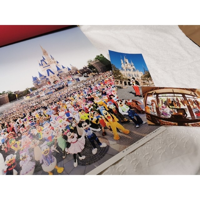 Disney(ディズニー)の東京ディズニ－リゾ－トｄｒｅａｍ 写真集 エンタメ/ホビーの本(地図/旅行ガイド)の商品写真